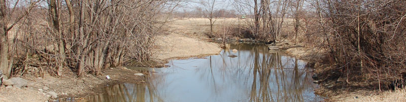 jewett brook 