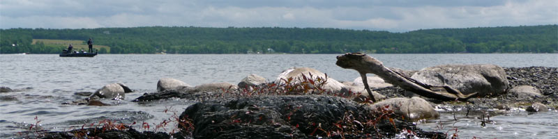 rocks at mosquito island